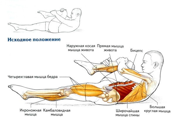 12 простых домашних упражнений для спины